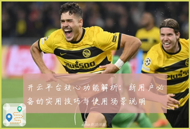 开云平台核心功能解析：新用户必备的实用技巧与使用场景说明